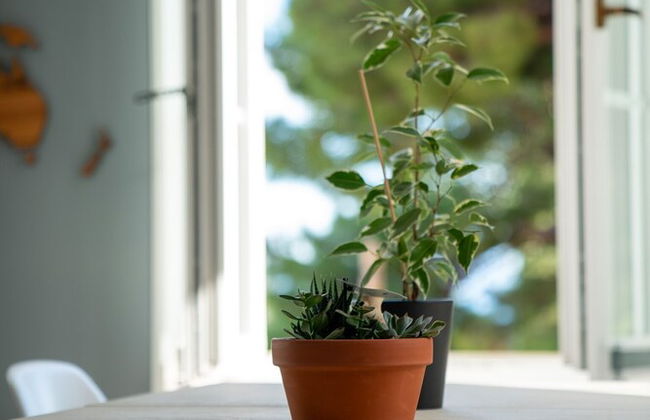 Luxury Apartment Eqanimity - Foto 31