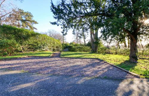 The Apple Store - Photo 28