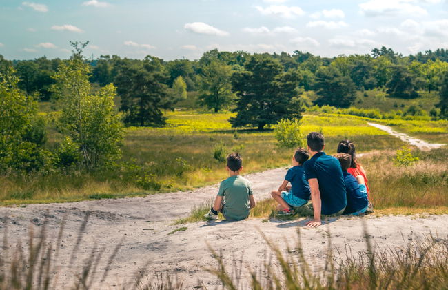 2 bedroom House in Brunssum with terrace - Photo 16