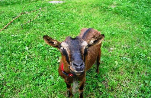 Comfortable Holiday Home in a Beautiful Location - Foto 29