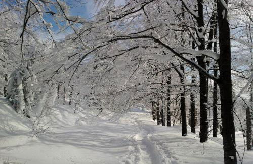 Landhaus Laih - Foto 16