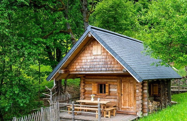 Infanglalm "traunsee" - Foto 37