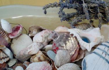 odys apartment centrer of town - Photo 2