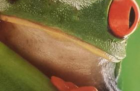 Corner of Paradise near Cinque Terre - Foto 41