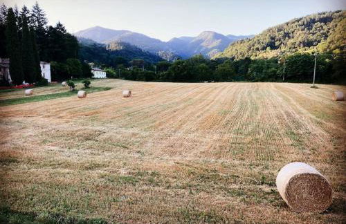 Casa Fevira Borgo - Foto 30