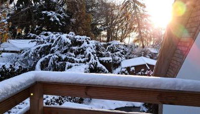 Ferienwohnung Ruhepol - Foto 5