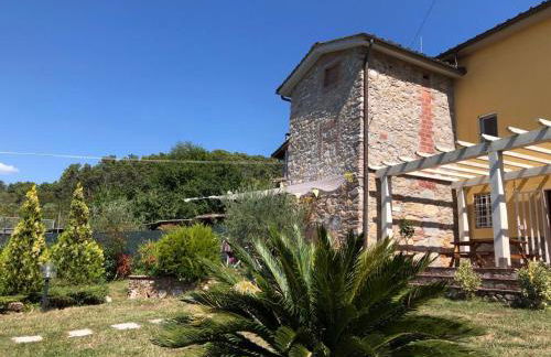 Intero alloggio campagna Lucca - Foto 35