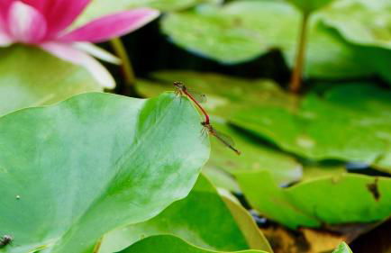 Le Bon Chemin gite - Foto 19