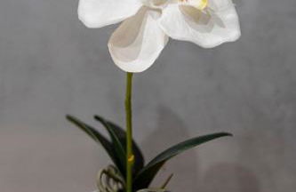 WONDERFUL Beach Apartment in Paradise - Foto 10