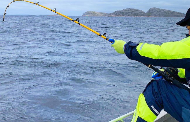 8 Person Holiday Home in Nordfold-by Traum - Foto 1