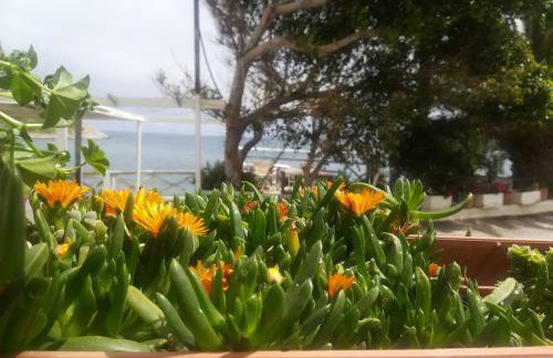 Mochlos Beach Villa Seafront house - Photo 35