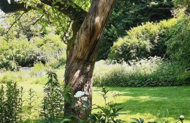 Die Malche Gäste und Tagungshaus 17 - Foto 31