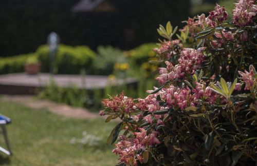 Ferienwohnung Schwalbennest - Foto 72