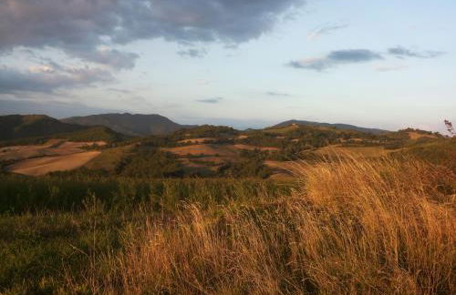 Agriturismo Ca' le Suore - Foto 115