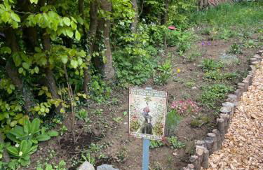 Garden Retreat Wales - Photo 11