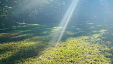 Golden Hill Oasis - Foto 4