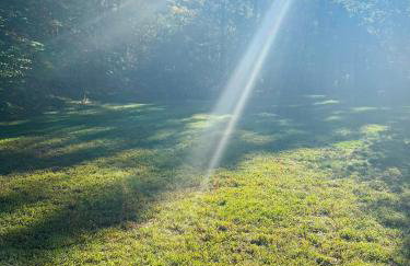 Golden Hill Oasis - Foto 4