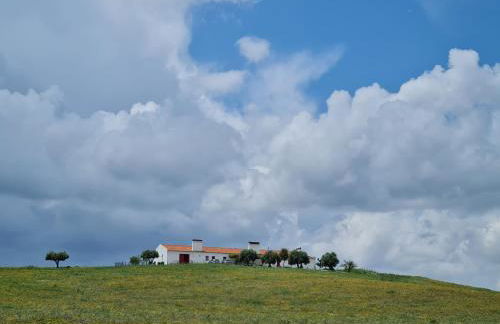 Monte do Arneiro - Foto 64