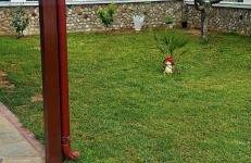 Seaside Family Villa - Foto 4