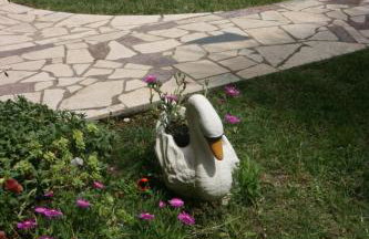 Apartment Luisa - Photo 22