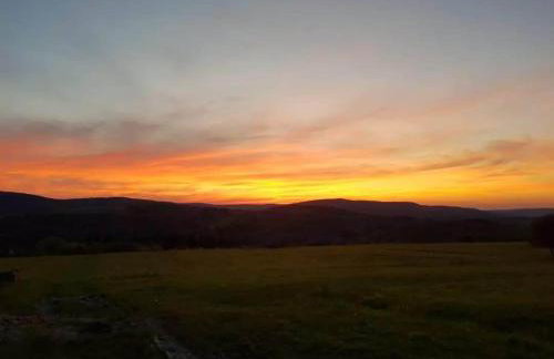 Jabłoniowy Sad Kalwaria Pacławska - Foto 39