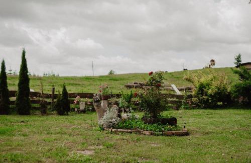 Brzozowa Polana - Foto 8