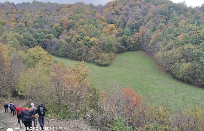 Bio Agriturismo La Cerqua - Foto 69