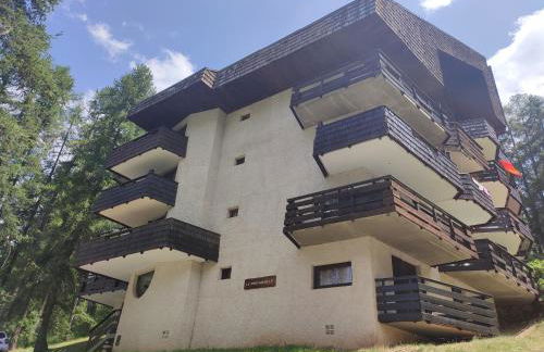 studio 24M, cool les Orres 1650 - Photo 37