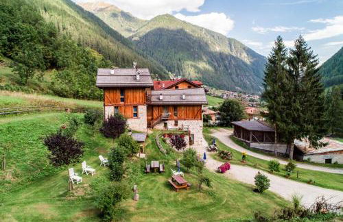 Maso Fior di Bosco - Val di Rabbi - Esercizio Rurale - Foto 90