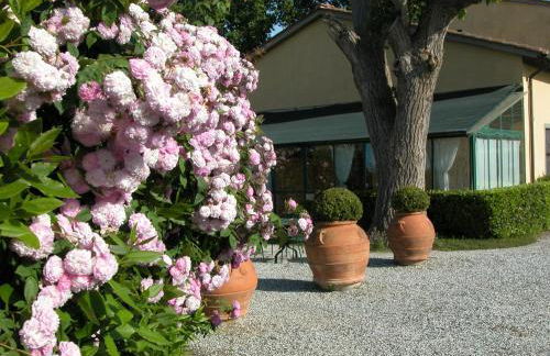 Fattoria di Migliarino - Foto 34