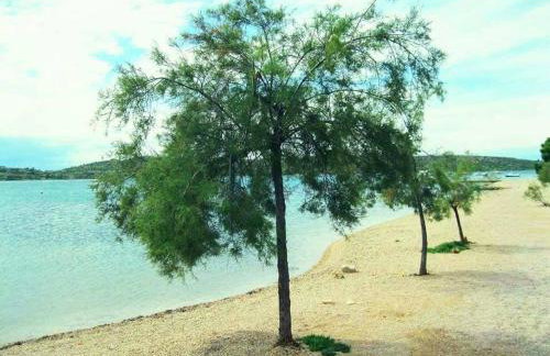 Apartments The heart of Croatia - Photo 71