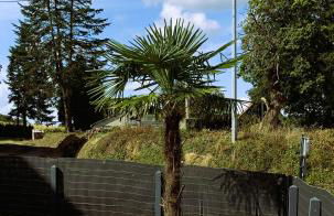 Le Gîte du Plessis Montanel à 25 mn du Mont Saint-Michel - Foto 16