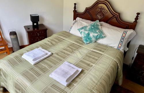 Green Valley Cruzinhas House with Fireplace & BBQ - Foto 43