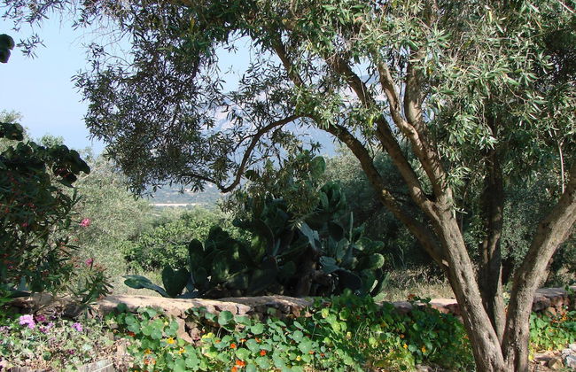 Agriturismo Su Tiresi - Foto 56