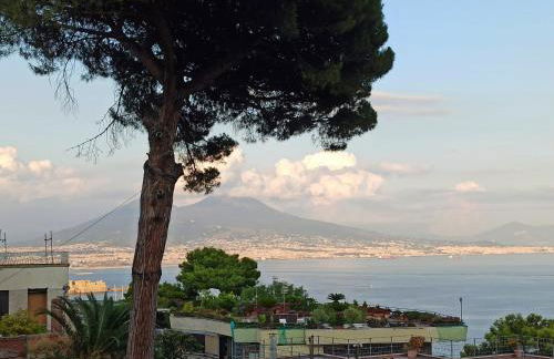 MONOCAMERA con TERRAZZOgiardino -STUDETTE -zona Panoramica POSILLIPO - Photo 1