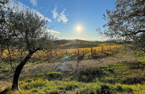 Awesome Apartment In Il Ferrone - Foto 22