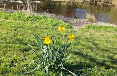 Eden house - Foto 21