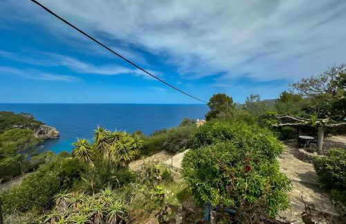 Vinya del mar - Foto 23