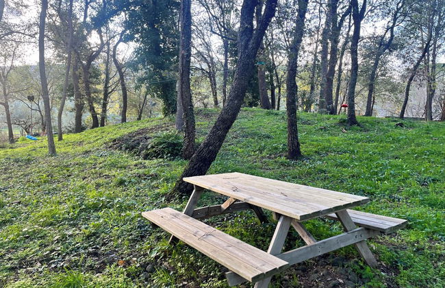 Poggio Roseto - Foto 43