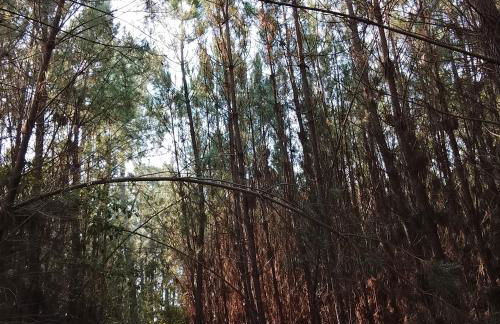 Alojamento 444 - Foto 26