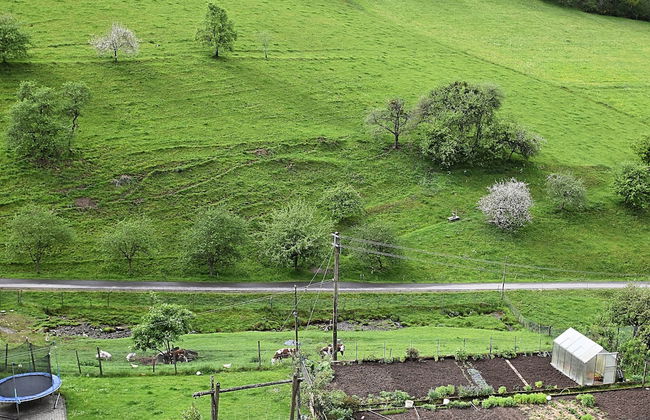 Ferienhaus, Muhlenbach - Foto 39