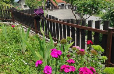 Apartman Domi - Foto 1