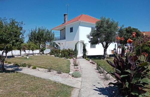 Cantinho da Ana - Foto 41