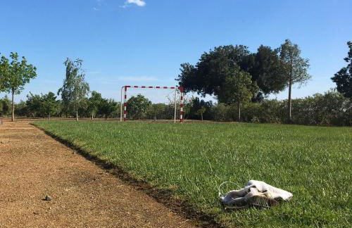 Mas Montbrio Belvedere - Foto 15