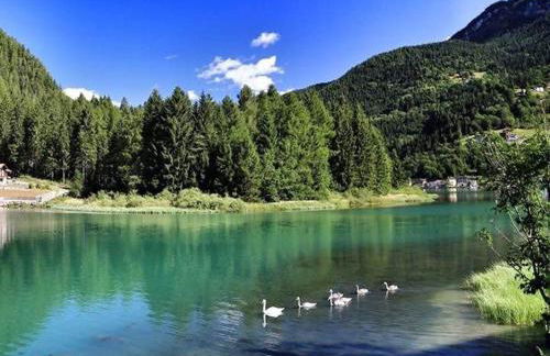 Appartamento Italia - Foto 17