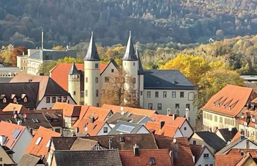 Wohnen im Springerhof - Foto 65