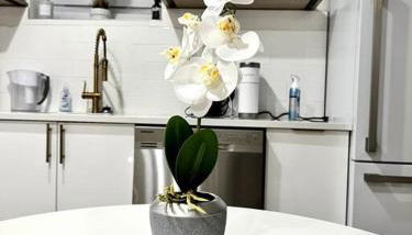 Luxury and cozy 1 Bed Condo in the heart of Providence - Foto 4