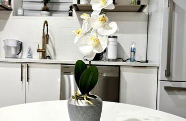 Luxury and cozy 1 Bed Condo in the heart of Providence - Foto 4