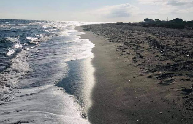 appartement lido de la marana - Foto 16