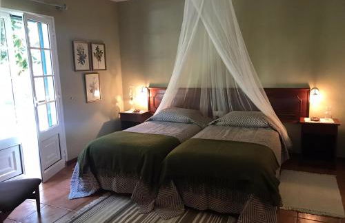 Palheirinho da Camélia - Foto 16